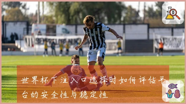 世界杯下注入口选择时如何评估平台的安全性与稳定性